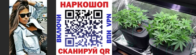 Альфа ПВП Сурск