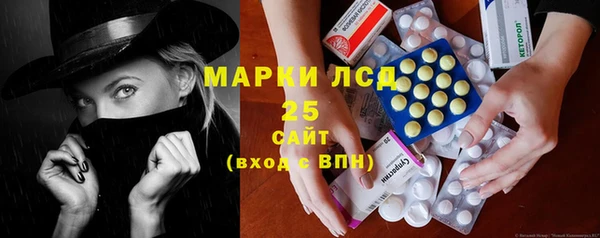 прущие грибы Аркадак