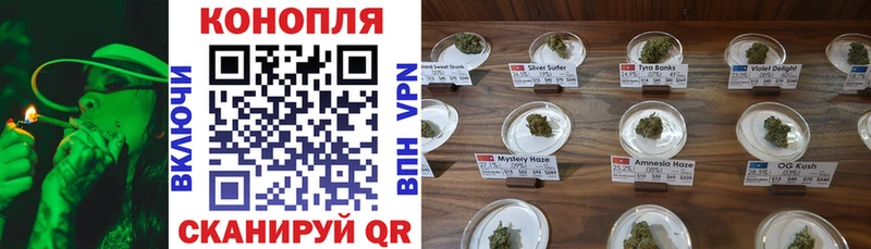 Бошки Шишки Ganja  Купить закладки  Сурск 
